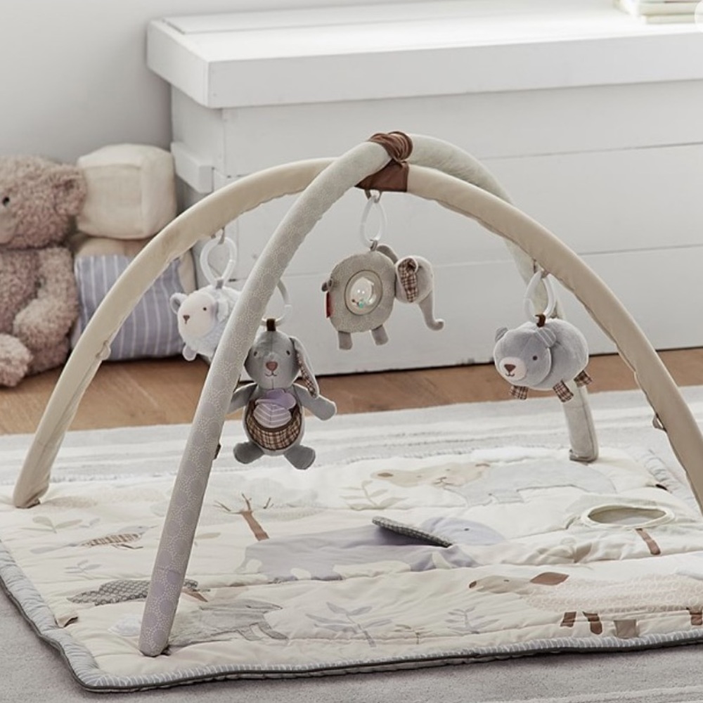 Pottery Barn Baby Activity Gym Mat